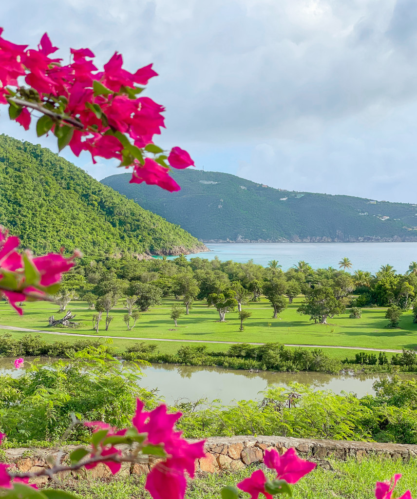 Guana Island, British Virgin Islands, by Compass + Twine