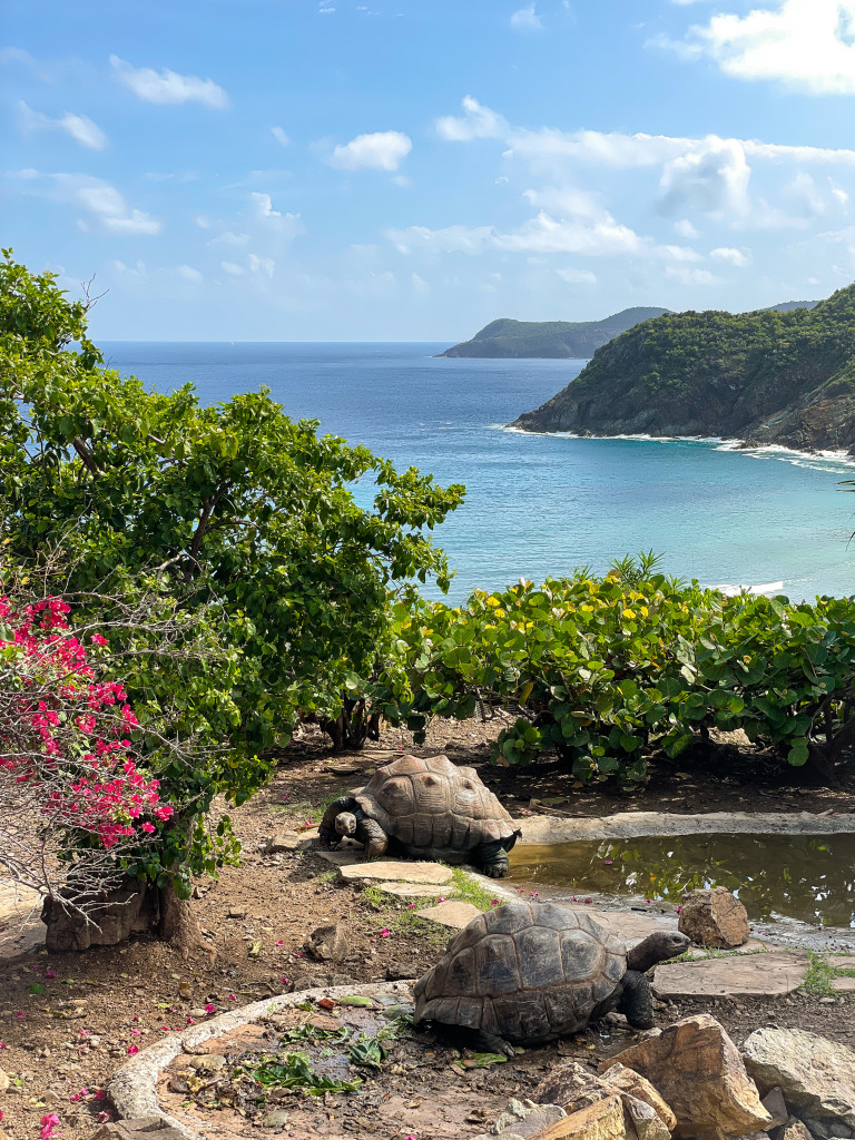 Guana Island, British Virgin Islands, by Compass + Twine