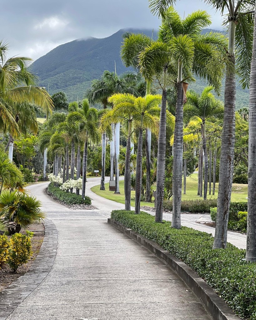 Four Seasons Nevis - Photo by Compass + Twine