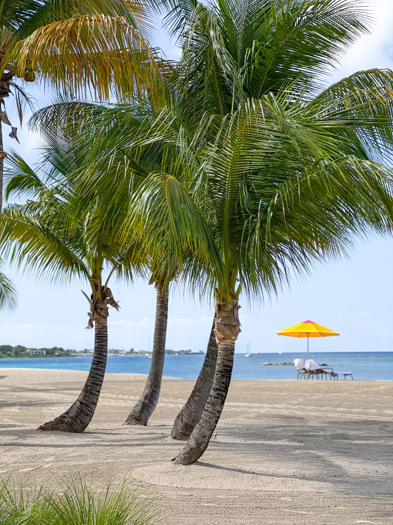 Four Seasons Nevis - Photo by Compass + Twine