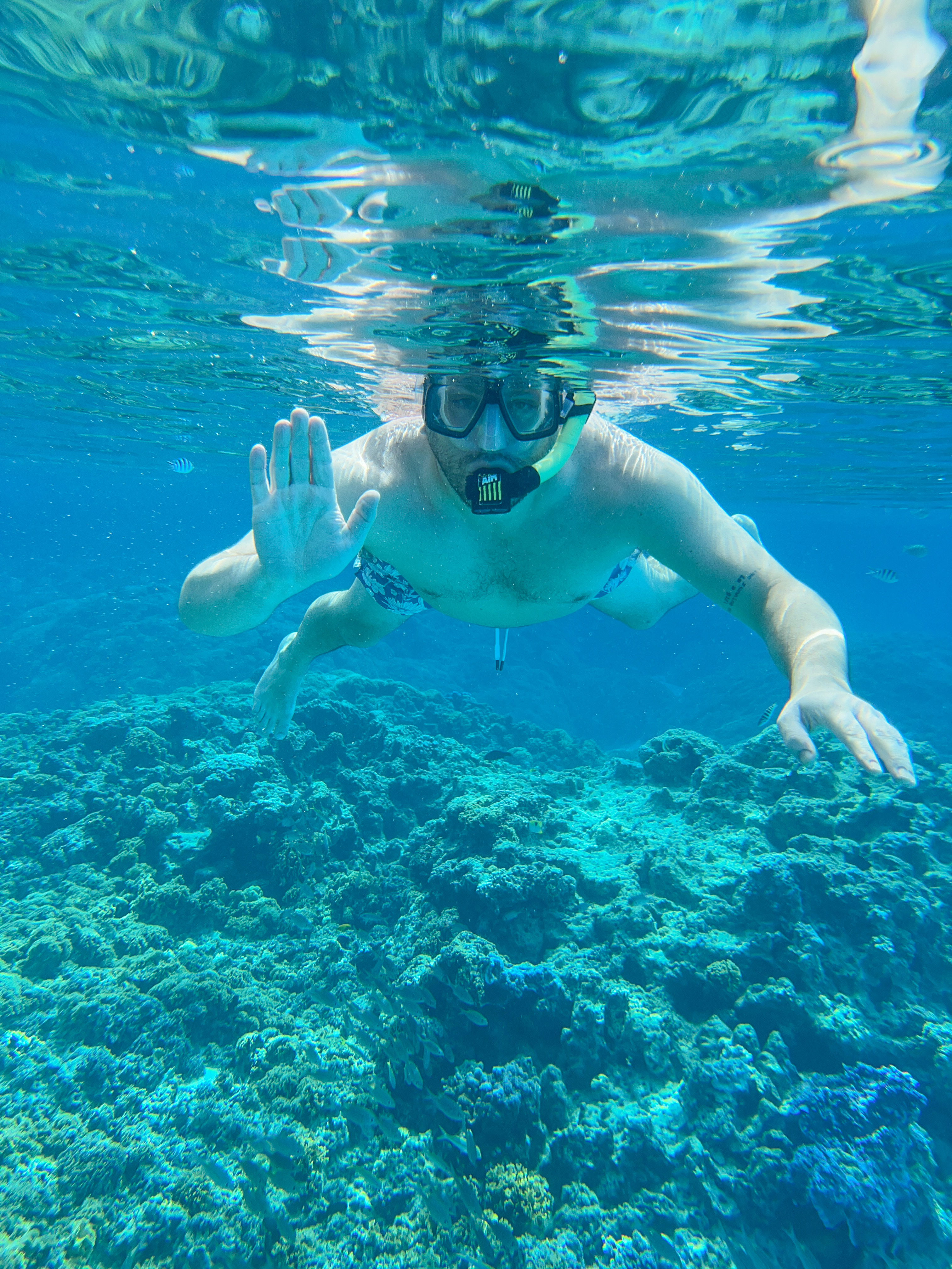 Bora Bora, Photo by Compass + Twine