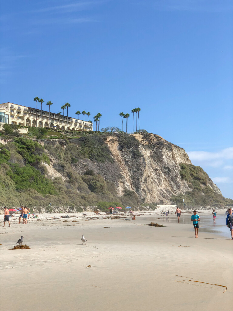 Ritz Carlton Laguna Niguel