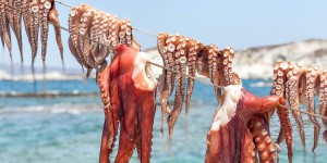 Medusa Restaurant: Hanging Octopus and Sea Views at the Best Restaurant in Milos