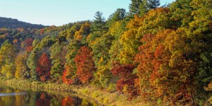 Electric Fall Foliage: An Upstate Roadtrip Bursting With Color