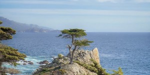 The 6 best spots for photos along 17-Mile Drive