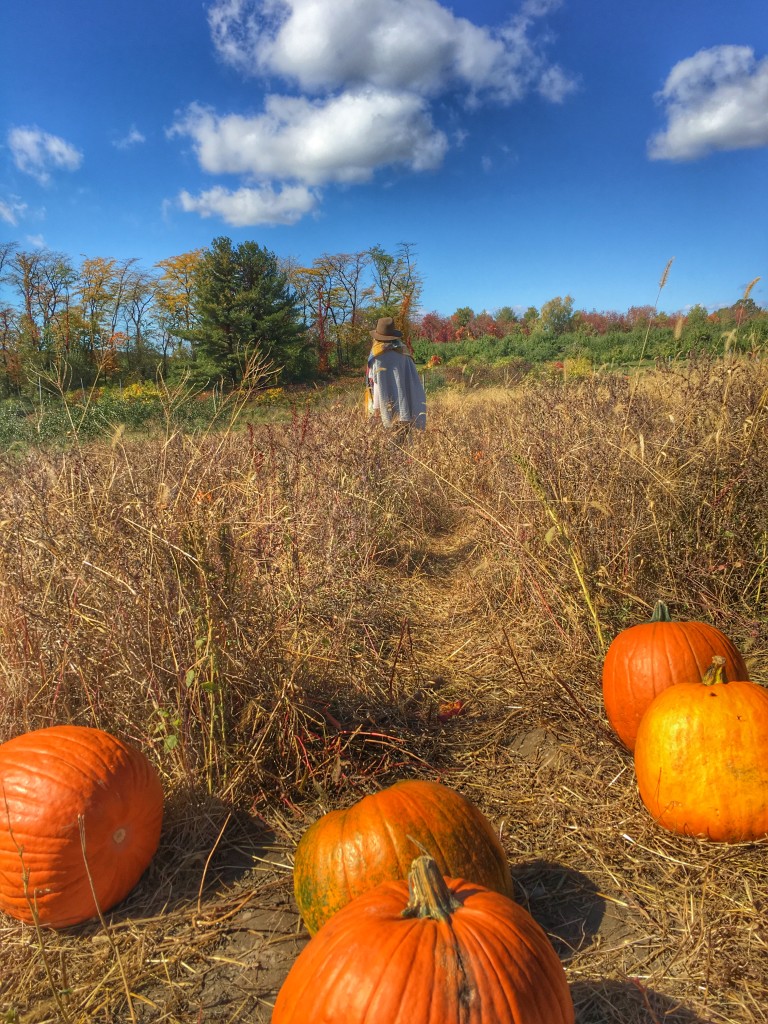 apple picking upstate DO