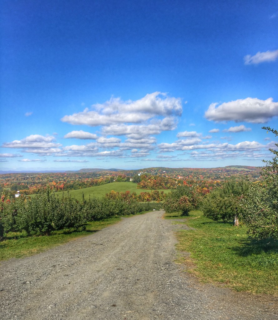 apple picking upstate DO