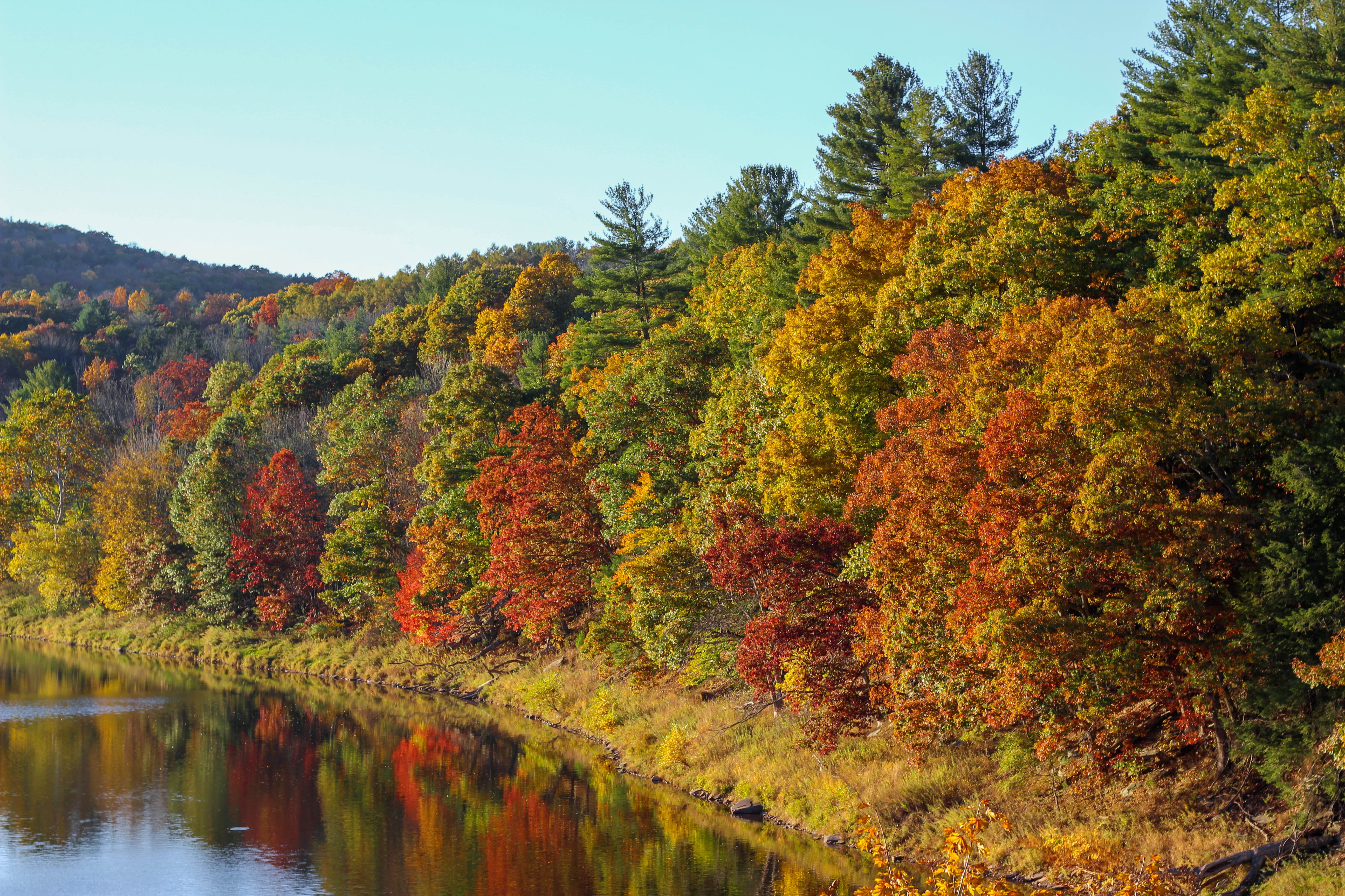 Electric Fall Foliage: An Upstate Roadtrip Bursting With Color