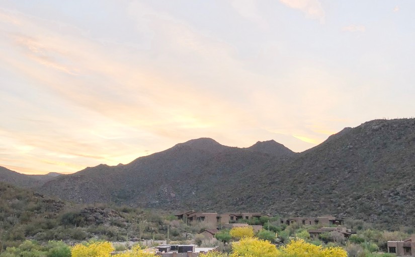 The Ritz Carlton, Dove Mountain Tucson, AZ Compass + Twine