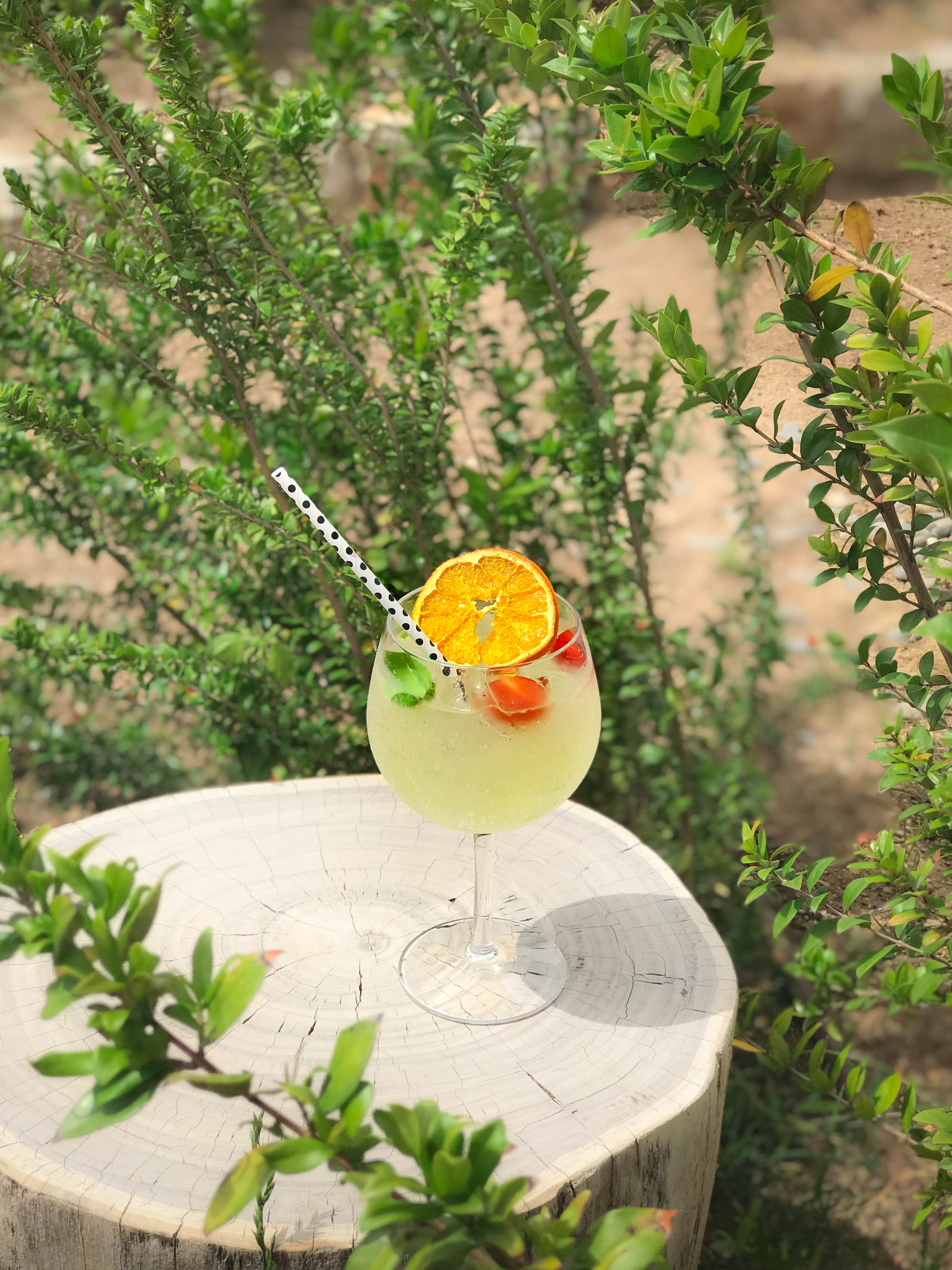 The Ultimate Spanish Summer Cockail: "Peter's Garden Cocktail"