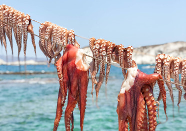 Medusa Restaurant | Milos, Greece | CompassAndTwine.com