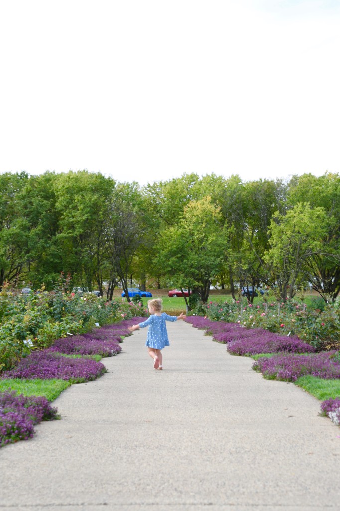 Rose Garden Minneapolis