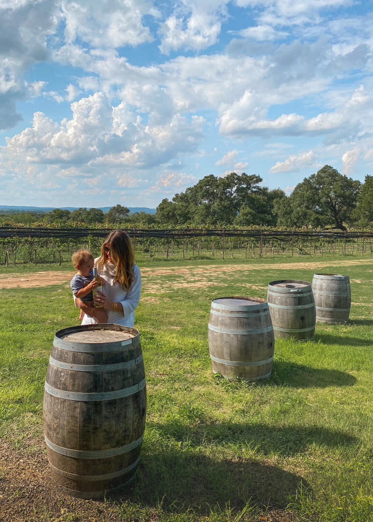 William Chris Winery Vineyards, Texas Hill Country, Things To Do, Fredericksburg