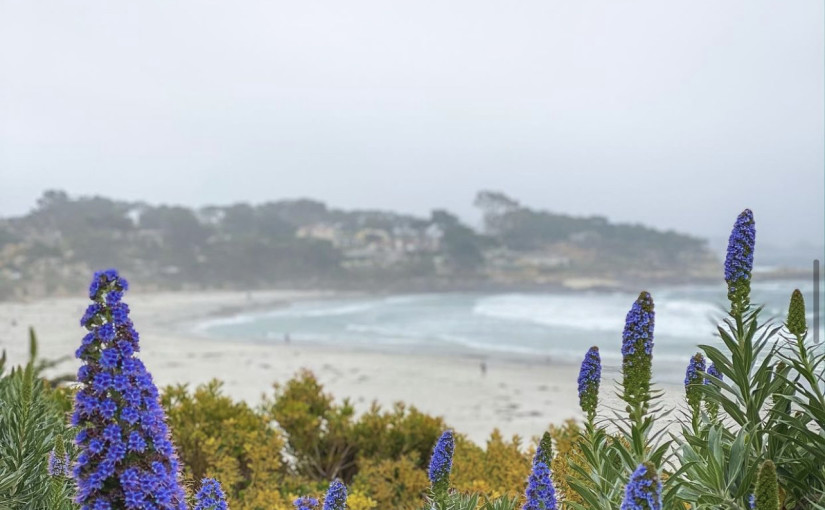 Carmel California